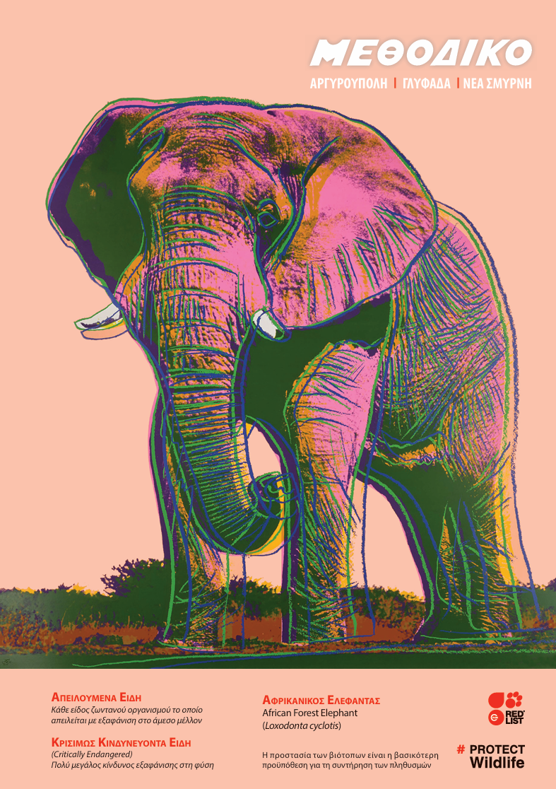 Τετράδια 2024