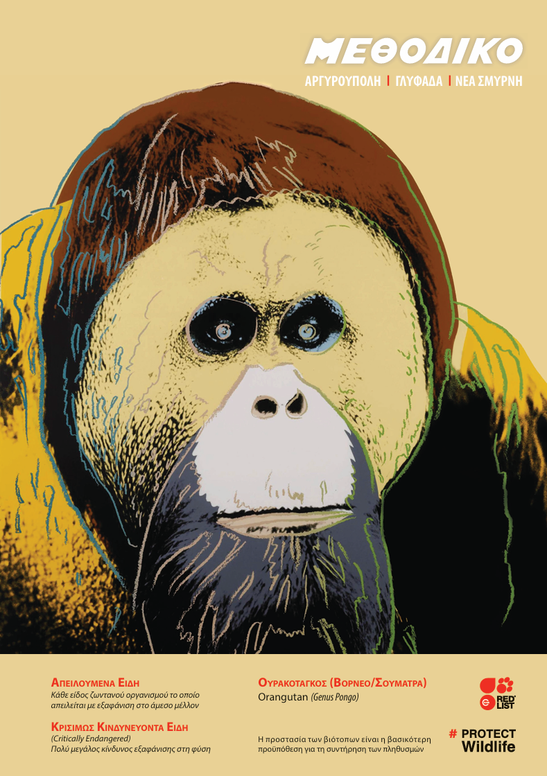 Τετράδια 2024