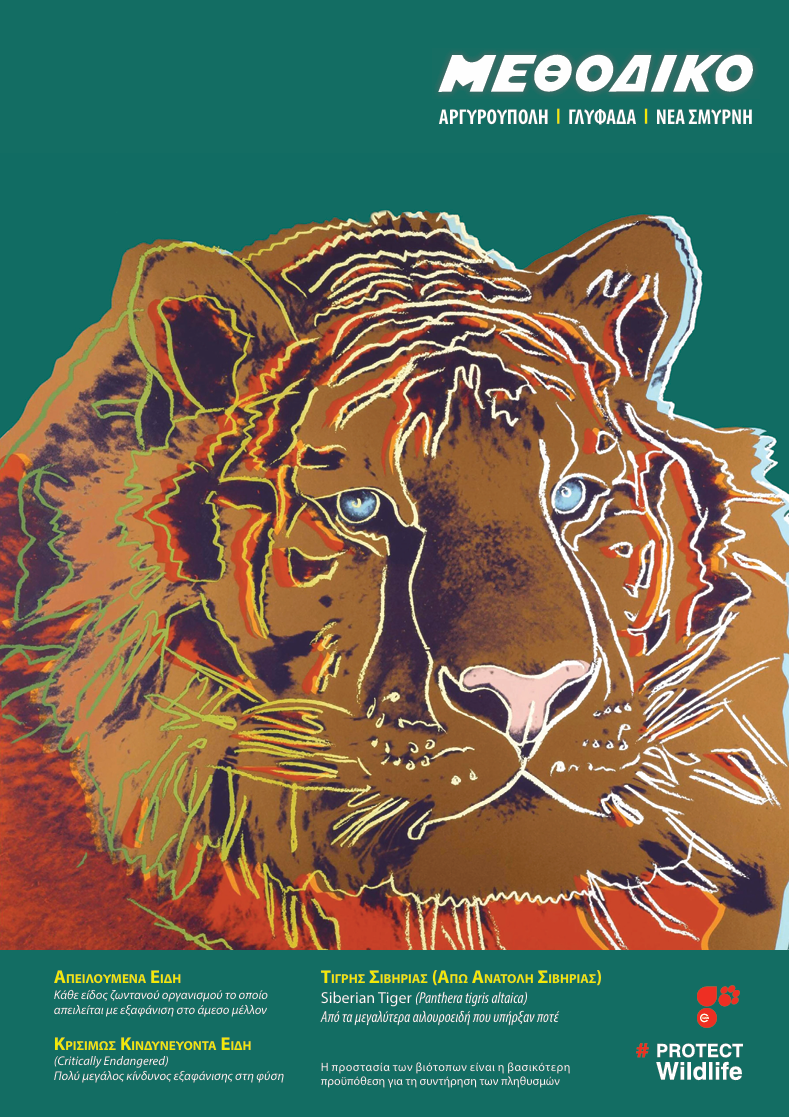 Τετράδια 2024